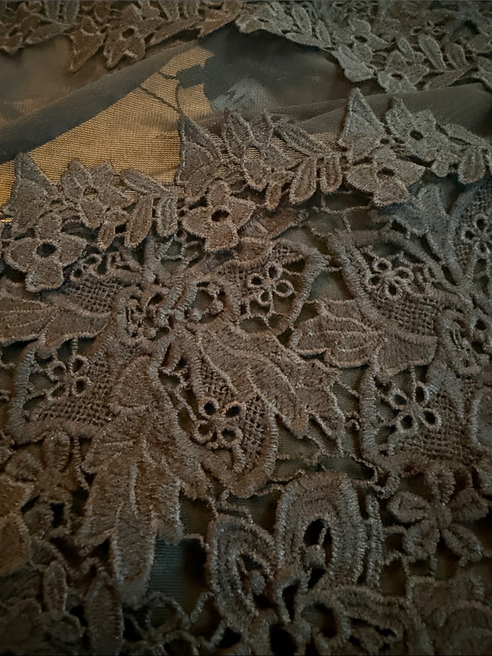 Gracia Black Lace Plunge Sheer Bodysuit - Picture 6 of 6